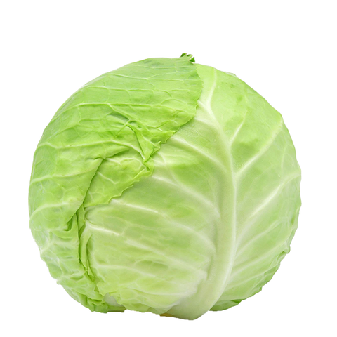 PLAIN CABBAGE WHOLE