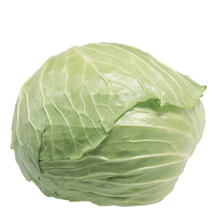 PLAIN CABBAGE WHOLE