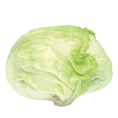 PLAIN CABBAGE WHOLE