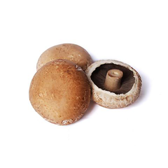 PORTOBELLO MUSHROOMS