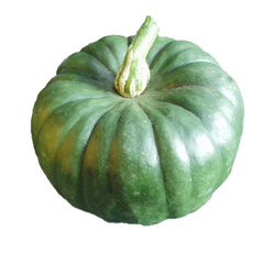 QUEENSLAND BLUE PUMPKIN