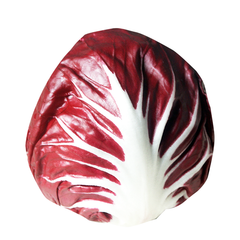 RADICCHIO