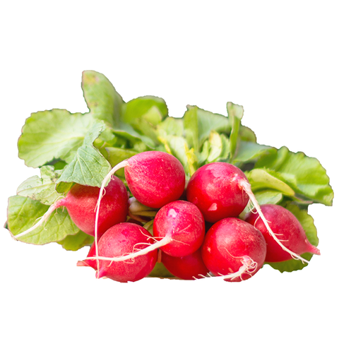 RADISH BUNCH