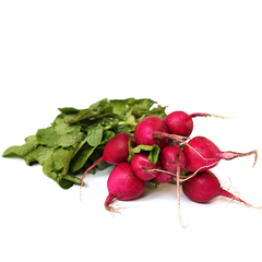 RADISH BUNCH