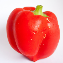 RED CAPSICUM