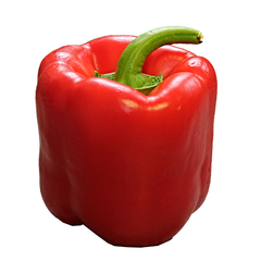 RED CAPSICUM