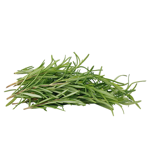 ROSEMARY