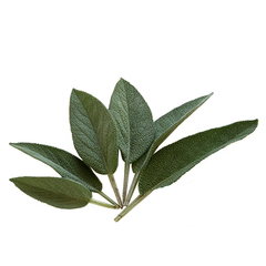 SAGE