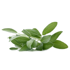 SAGE