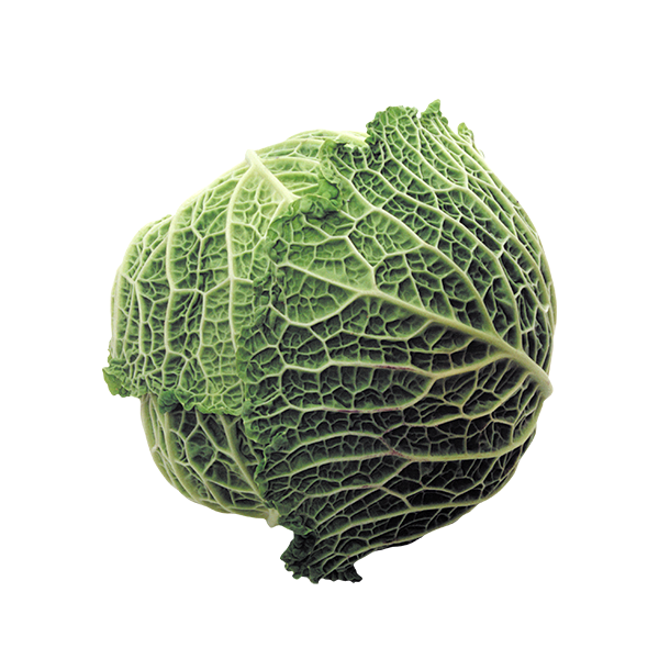 SAVOY CABBAGE WHOLE