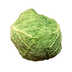 SAVOY CABBAGE WHOLE