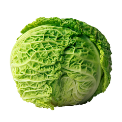 SAVOY CABBAGE WHOLE