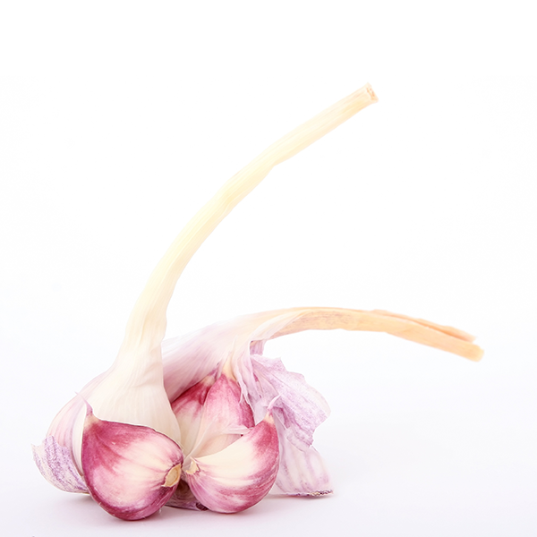 SHALLOTS