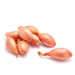 SHALLOTS