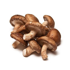 SHITAKE MUSHROOM PACK