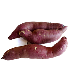 SWEET POTATO