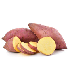 SWEET POTATO