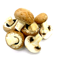 SWISS BROWN MUSHROOMS