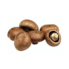 SWISS BROWN MUSHROOMS