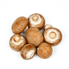 SWISS BROWN MUSHROOMS