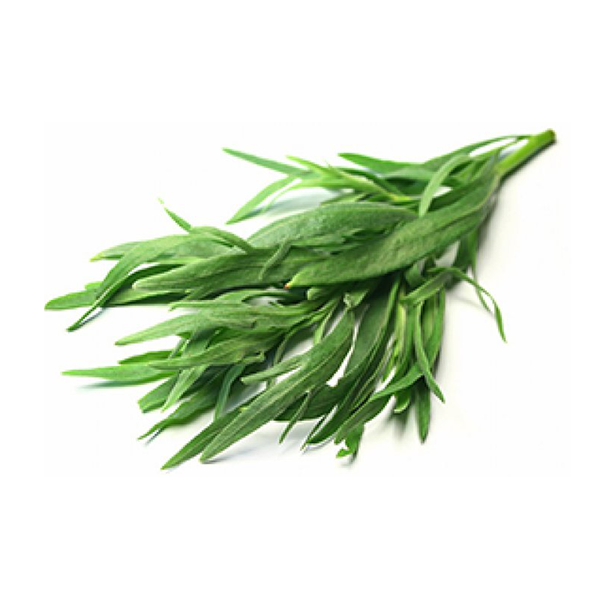 TARRAGON