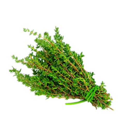 THYME