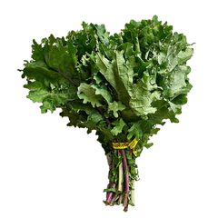 TUSCAN KALE