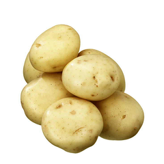 WASHED POTATOES