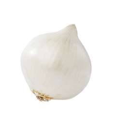 WHITE ONIONS