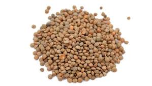 CANNED LENTILS